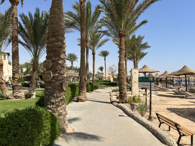 Beach | Jaz Makadi Star & Spa | Hurghada | Egypt