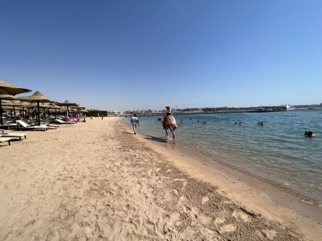 Beach | Jaz Makadi Star & Spa | Hurghada | Egypt