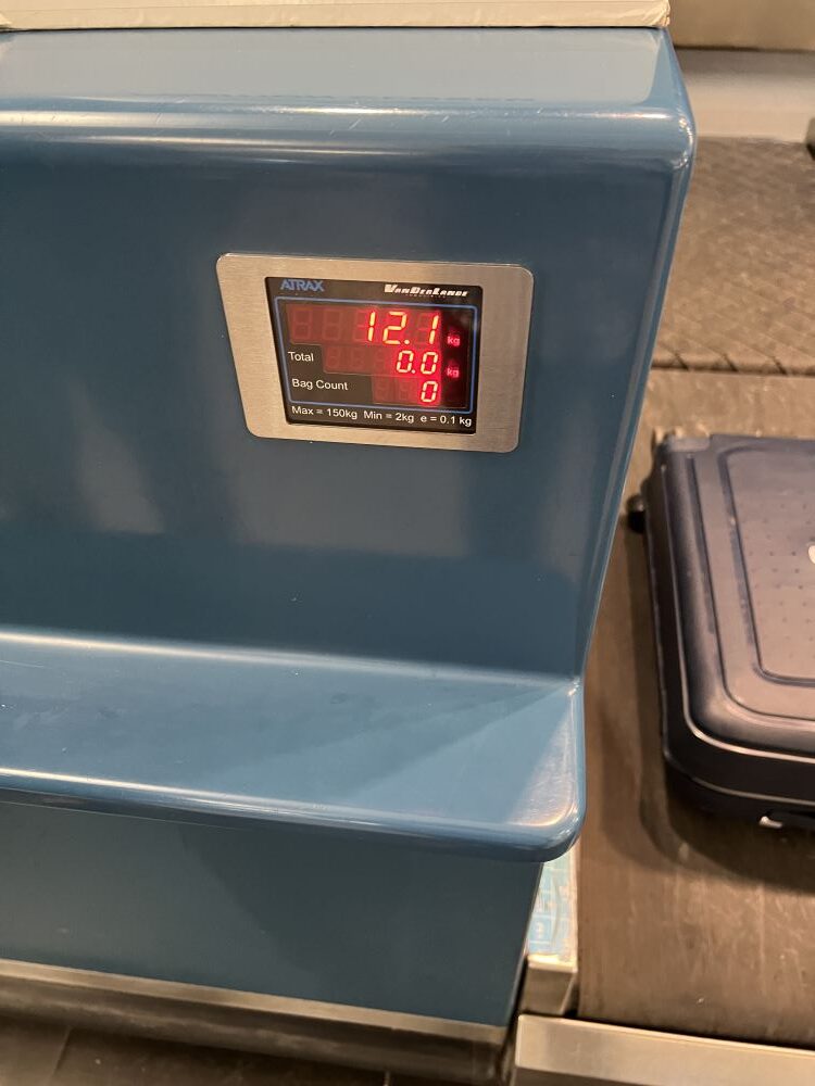 Cairo Airport | Domestic Terminal | Check-in Counter | Egyptair