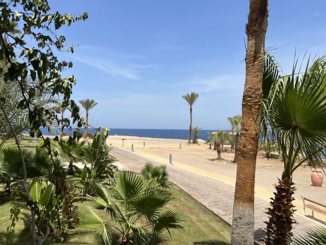 Hotel Grounds | Steigenberger Coraya Beach Resort | Marsa Alam | Egypt