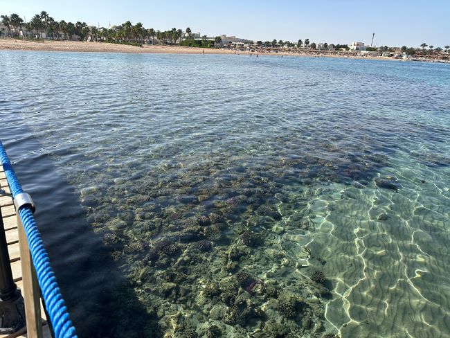 Jaz Makadina | Sea | Reefs | Hurghada | Egypt