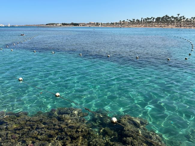 Jaz Makadina | Sea | Reefs | Hurghada | Egypt