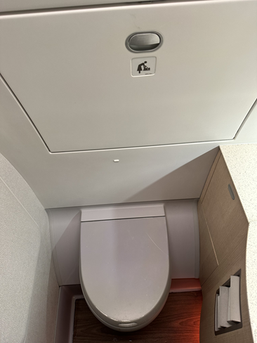 Air Mauritius | A350-900 | Business Class | Bathroom