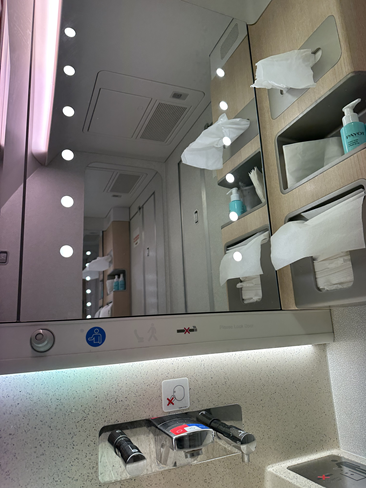 Air Mauritius | A350-900 | Business Class | Bathroom