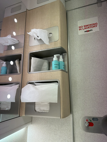 Air Mauritius | A350-900 | Business Class | Bathroom