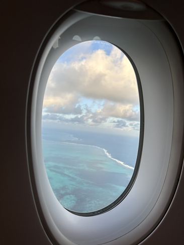 Air Mauritius | A350-900 | Business Class | View from Above (Mauritius)