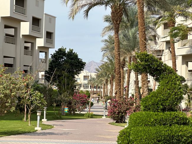 Hotel Grounds | Solymar Soma Beach | Hurghada | Egypt