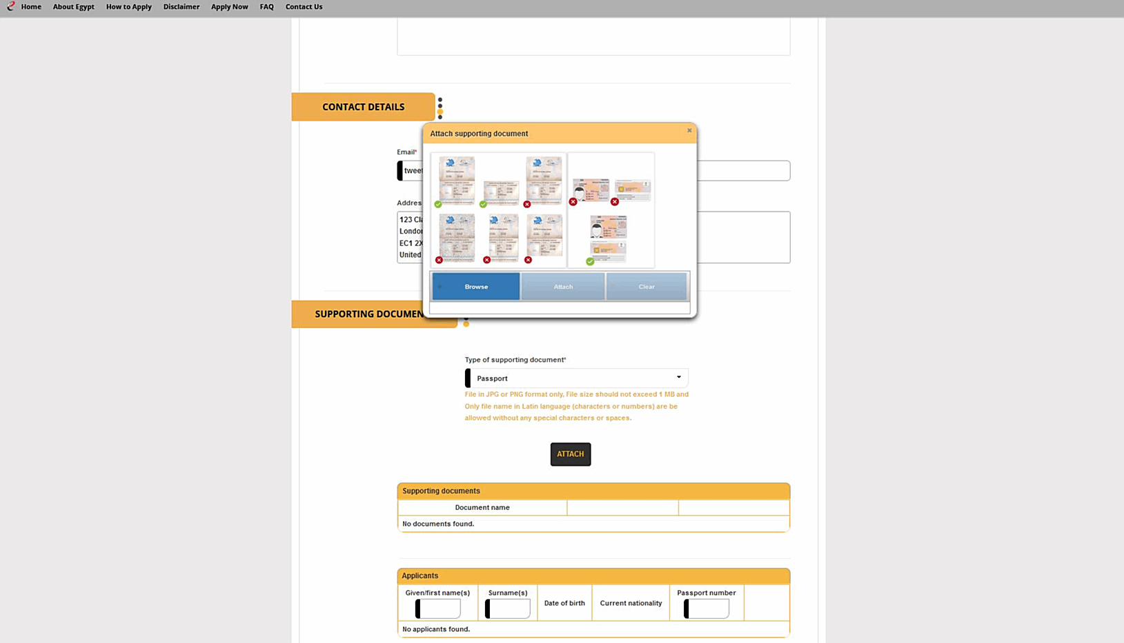 e-Visa Application | Egypt | STEP 5
