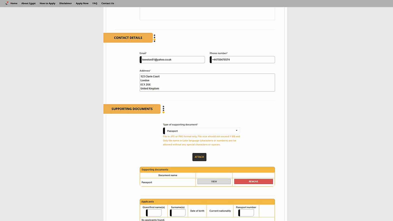 e-Visa Application | Egypt | STEP 5