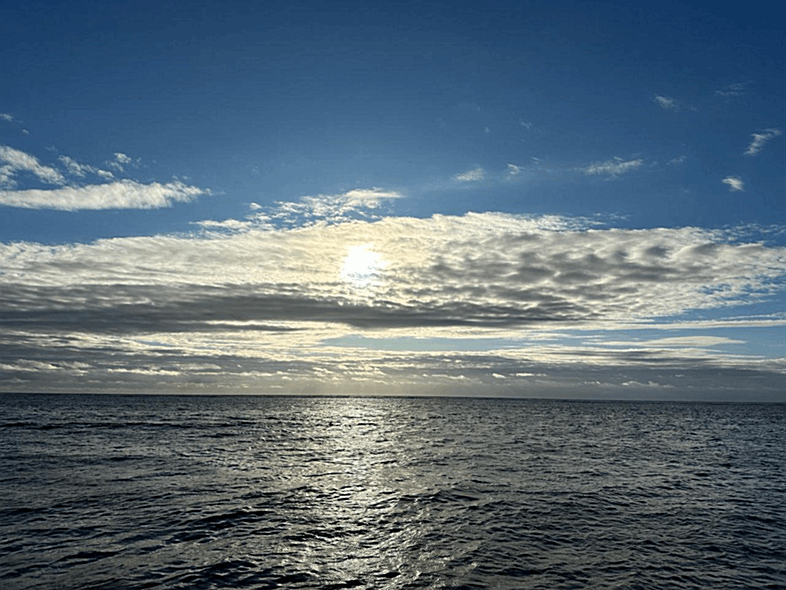 Mauritius Weather | Partly Cloudy
