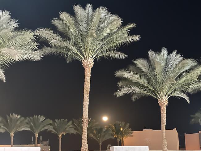 Touristic Promenade | Jaz Casa Del Mar Beach | Hurghada