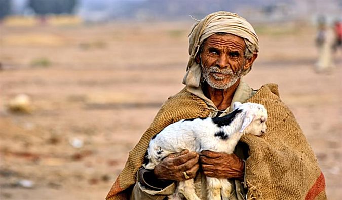 A Bedouin in Egypt