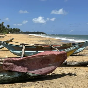 Traditional outrigger fishing boats on golden sand at Boossa Beach near Galle, Sri Lanka
