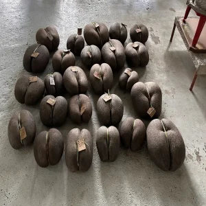 Coco de mer coconuts with price tags arranged at local market in Seychelles