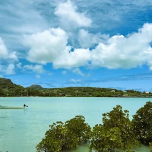 Small white fishing boat anchored in turquoise lagoon with green hills and mangroves in Rodrigues
