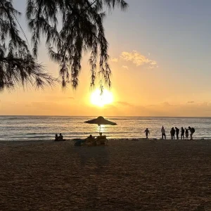 Golden sunset at Flic-en-Flac beach with casuarina trees and visitors in Mauritius