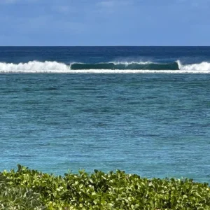 Ocean waves crashing over coral reef with tropical vegetation in Mauritius