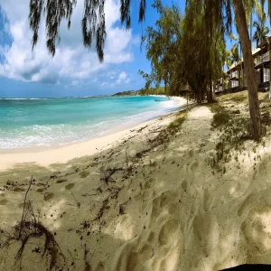 Pristine white sand beach with casuarina trees and turquoise water at Pointe Coton, Rodrigues Island