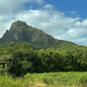 Rempart Mountain dramatic cliff landscape with green plateau in Mauritius