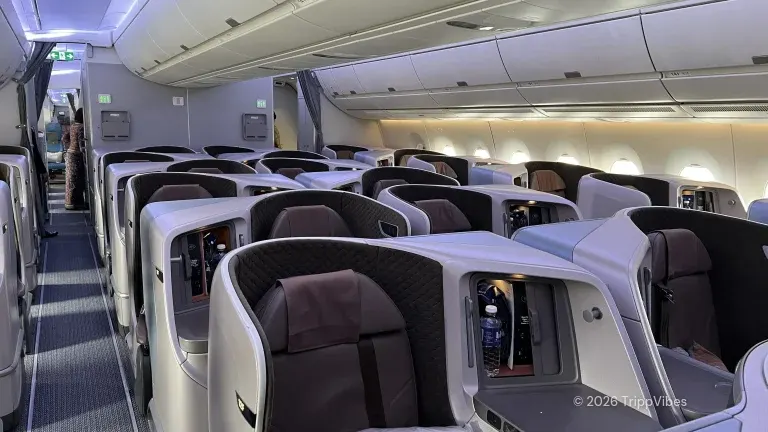 Singapore Airlines A350-900 business class cabin with cream seat shells and dark quilted seats